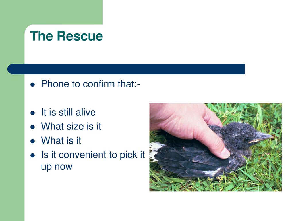 The Rescue Phone to confirm that:- It is still alive What size is it