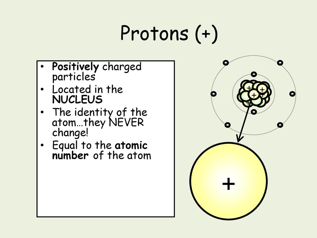 + Protons (+) Positively charged particles Located in the NUCLEUS