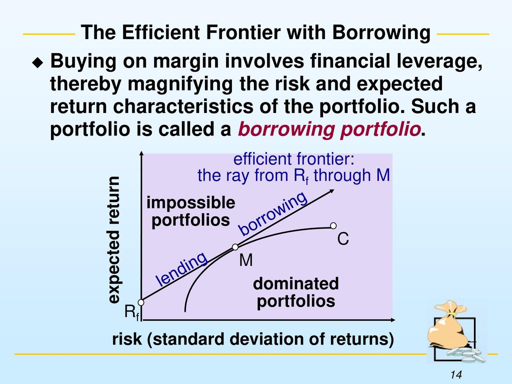 WHY DIVERSIFY? CHAPTER FOURTEEN - ppt download