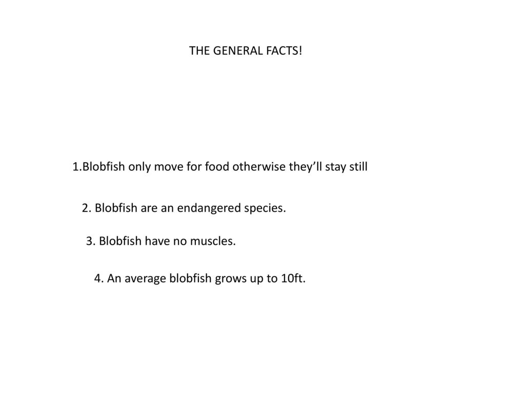 THE GENERAL FACTS! 1.Blobfish only move for food otherwise they’ll stay still. 2. Blobfish are an endangered species.
