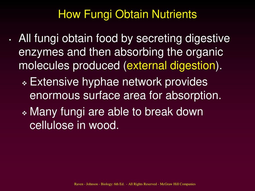 Hill Companies Permission required ... Biology Diagrams