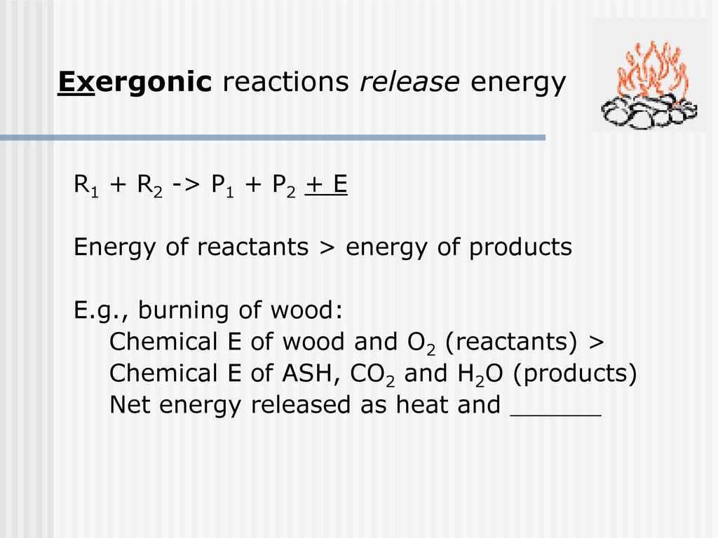 The Harvest And Storage Of Chemical Energy Ppt Download The Harvest And Storage Of Chemical Energy Ppt Download