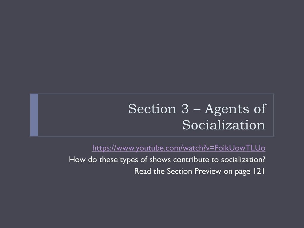 Section 3 – Agents of Socialization