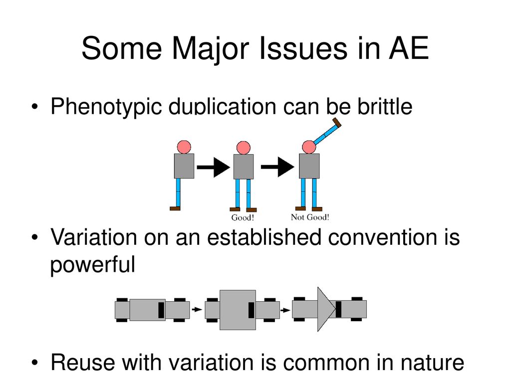 Some Major Issues in AE Phenotypic duplication can be brittle