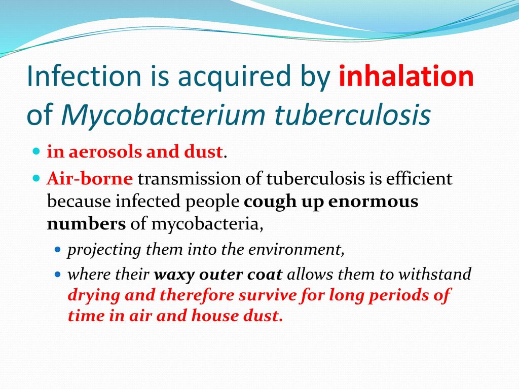 Infection is acquired by inhalation of Mycobacterium tuberculosis