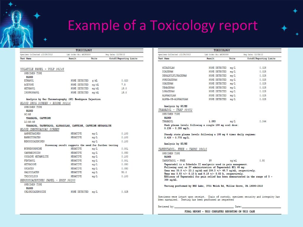 SoftReports Patient Reports ppt download SoftReports Patient Reports ppt download