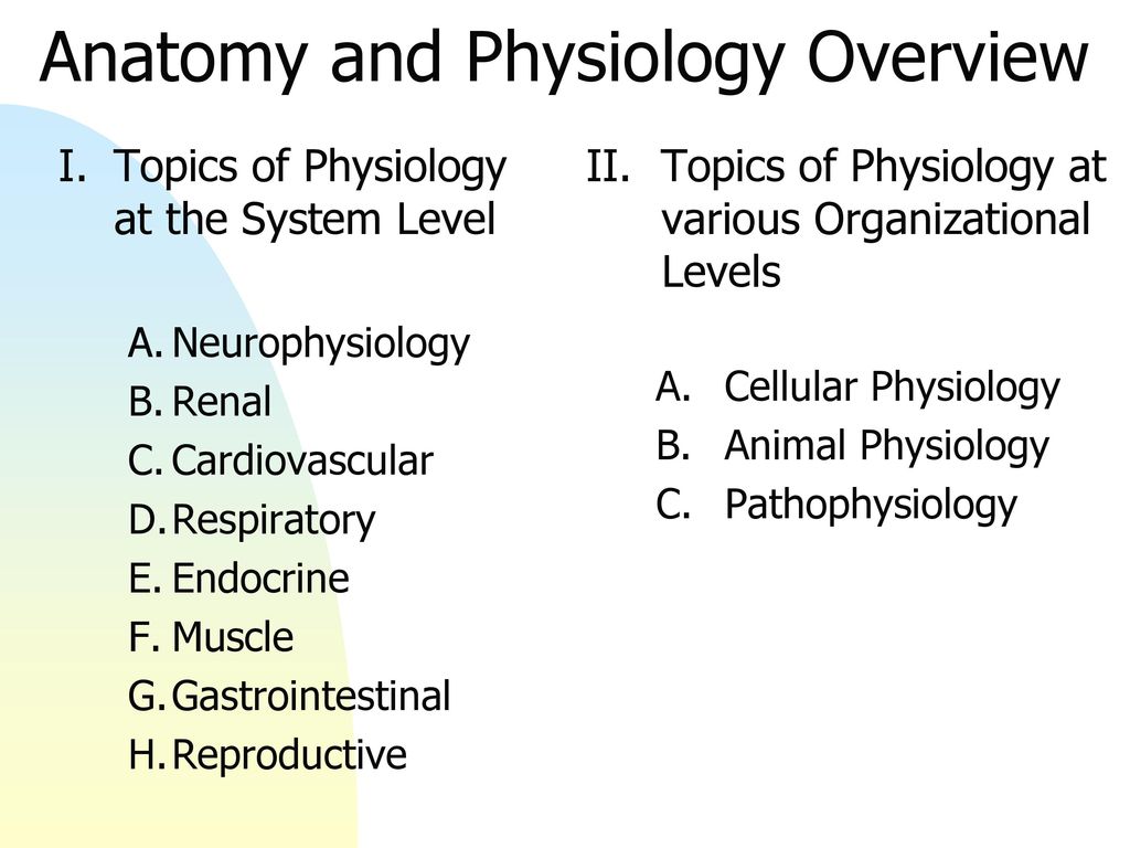 human anatomy and physiology topics