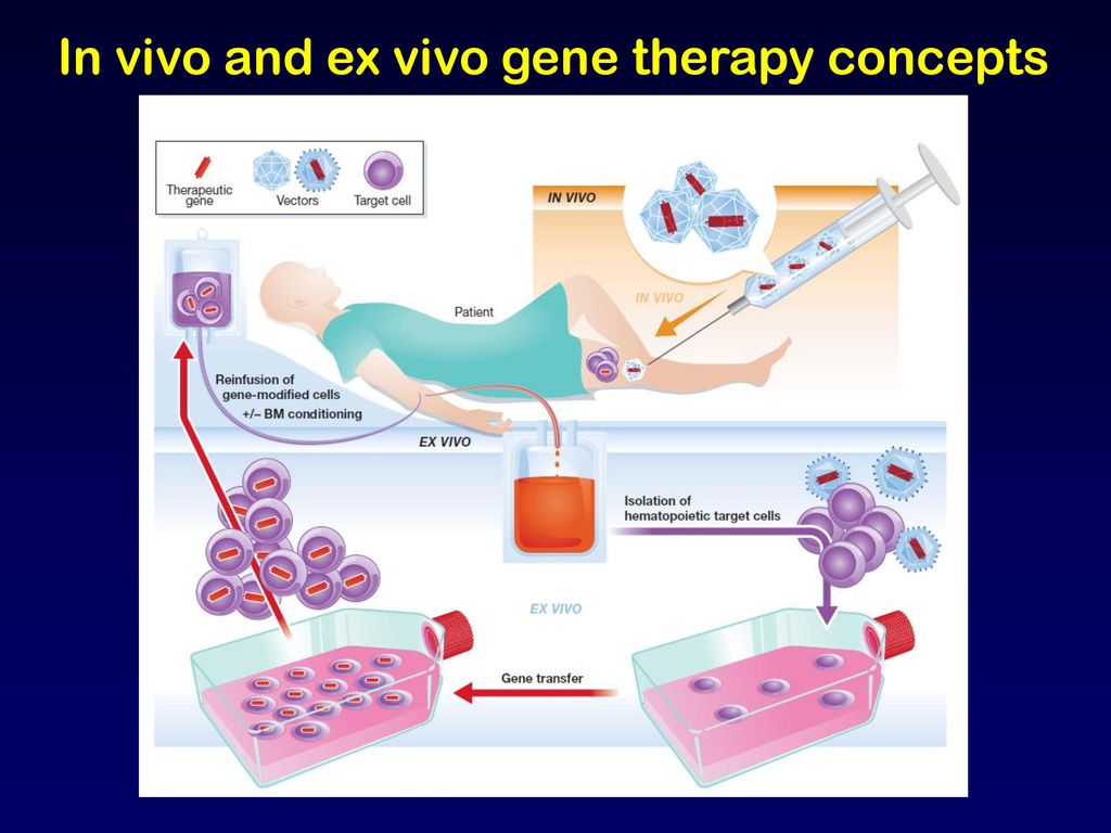 In vivo. In situ in vivo in vitro ex vivo. Генотерапия ex vivo. Генная терапия in vivo ex vivo in vitro. Ex vivo in vivo Gene Therapy.