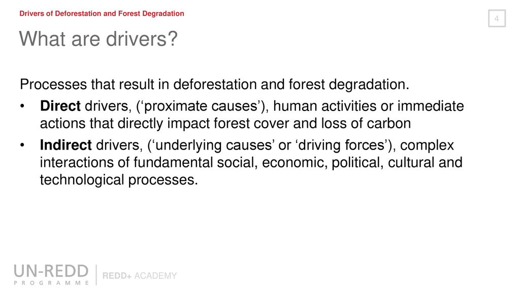 The drivers of deforestation