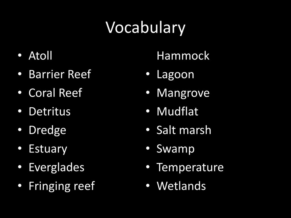 Vocabulary Atoll Fringing reef Hammock Barrier Reef Lagoon Coral Reef