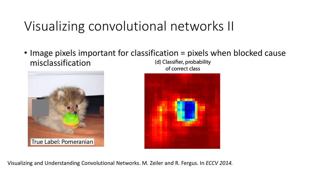 Visualizing convolutional networks II