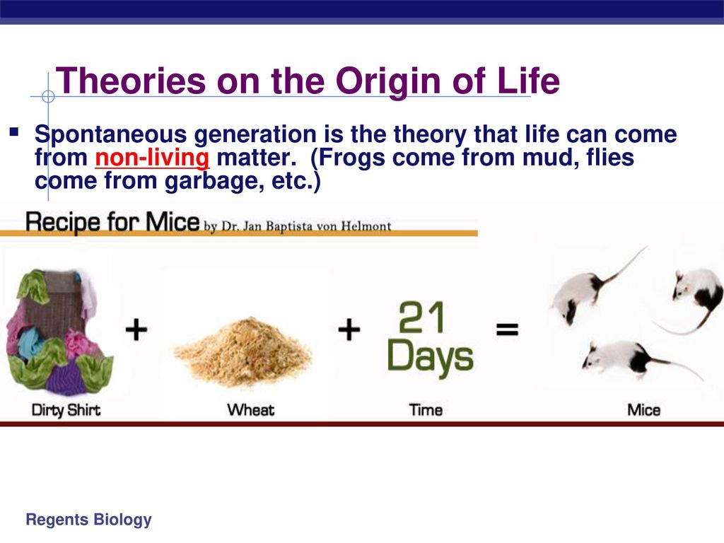 Theories on the origin of life ppt download