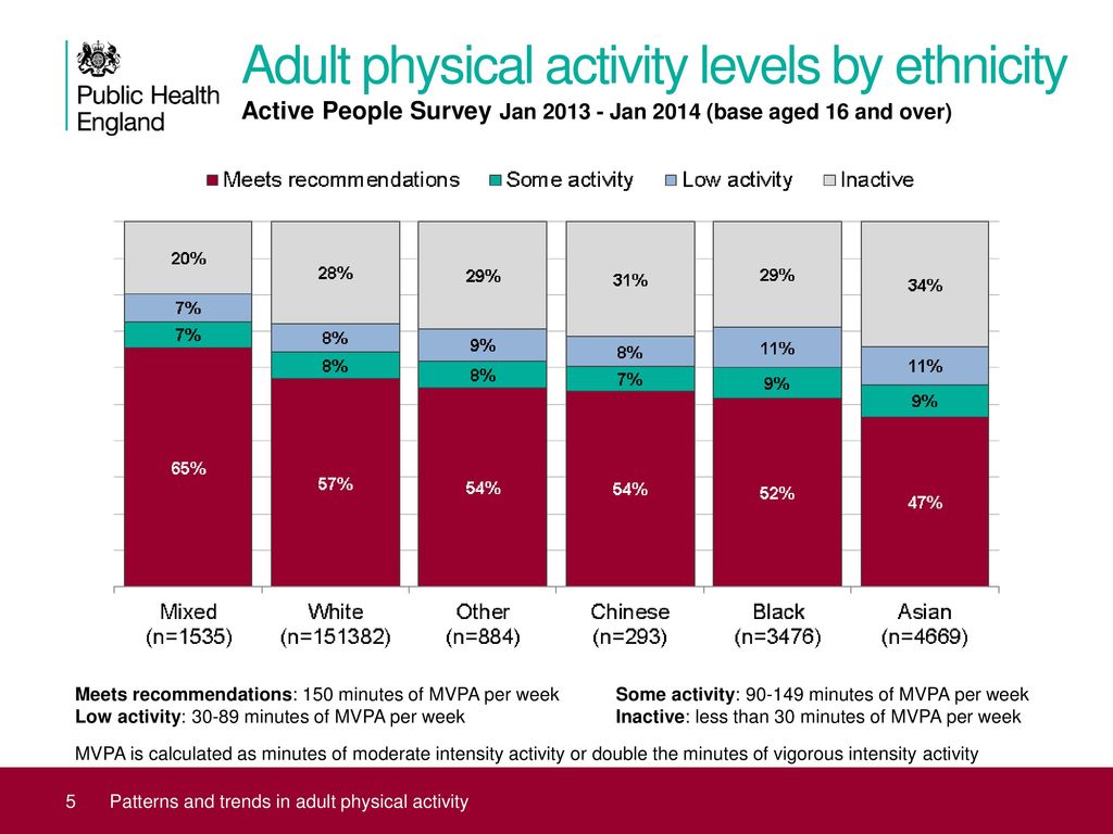 Activity level. Who physical inactivity Survey. Recommendation Level.