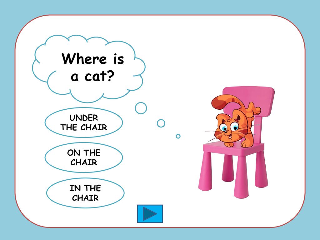 Where is a cat? 