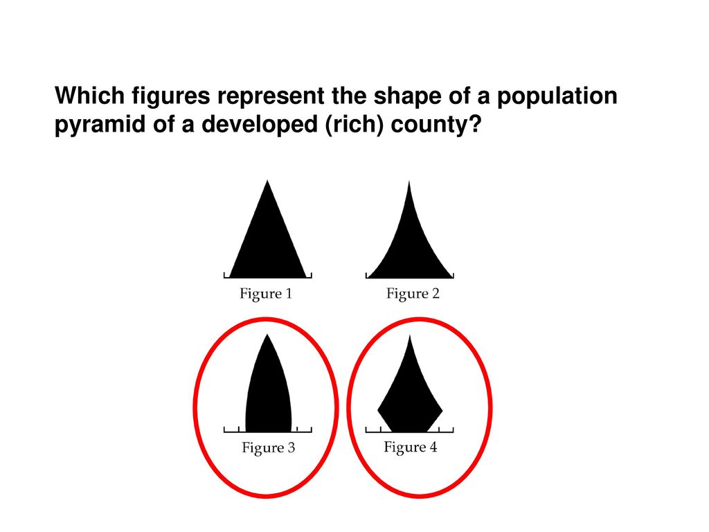 Which figures represent the shape of a population pyramid of a developed (rich) county