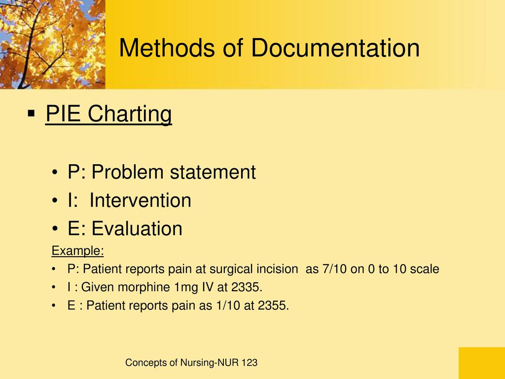 Example Of Charting Nursing Notes