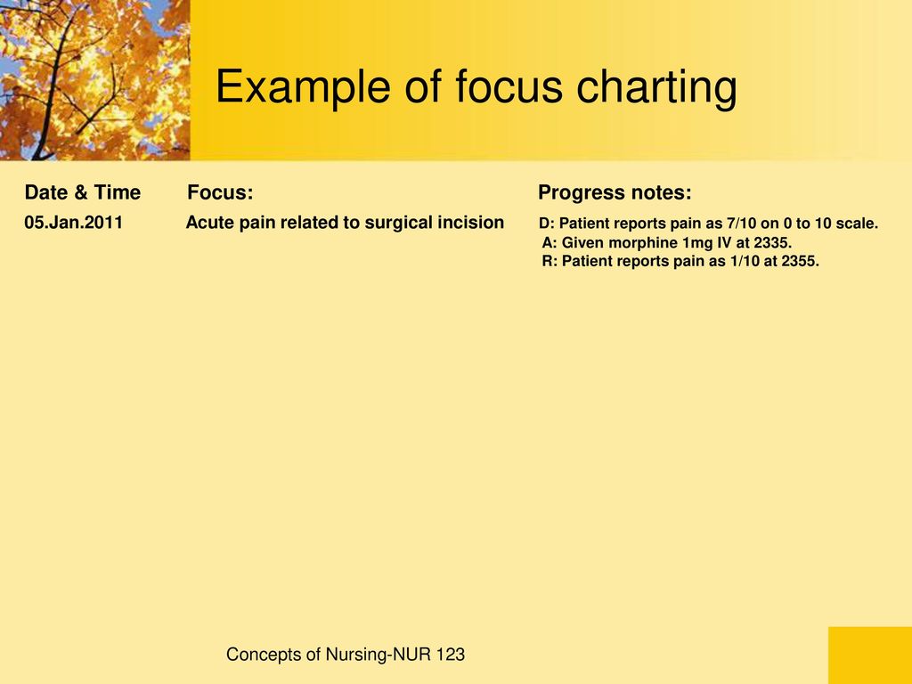 Focus Charting Nursing Example