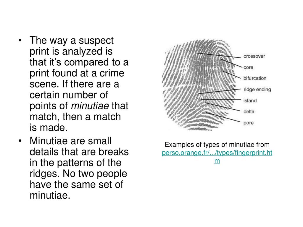 Fingerprinting By Melissa Chang Ppt Download