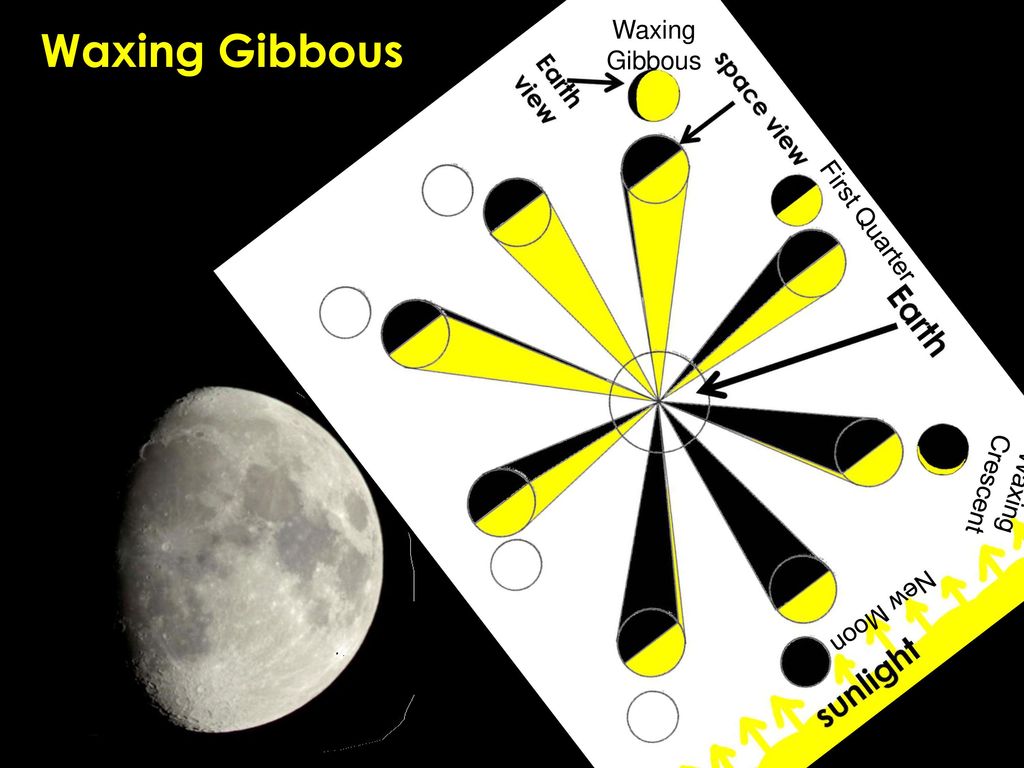 Waxing Gibbous Waxing Gibbous First Quarter Waxing Crescent New Moon