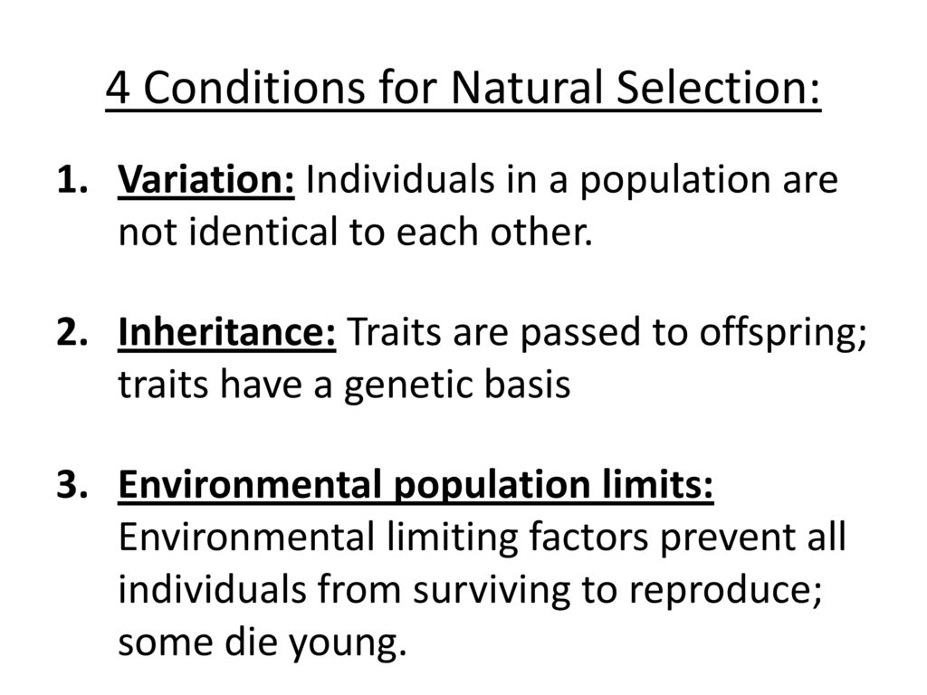 What is evolution learning target i can explain natural selection