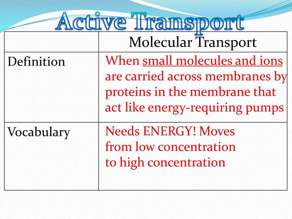 Active Transport Molecular Transport Definition