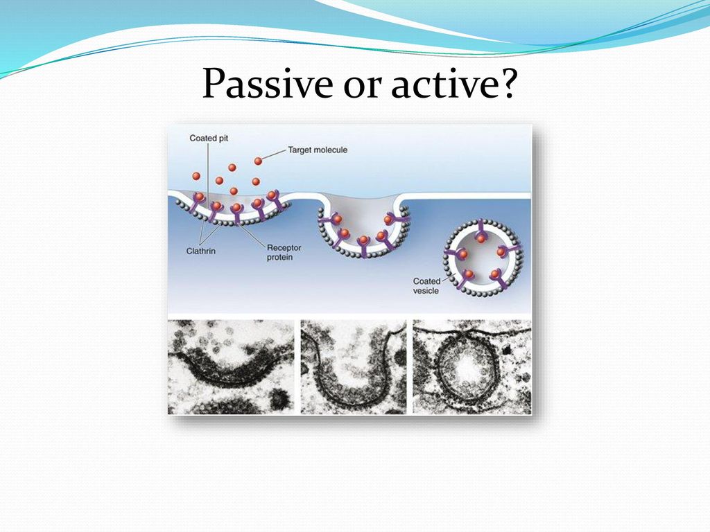 Passive or active