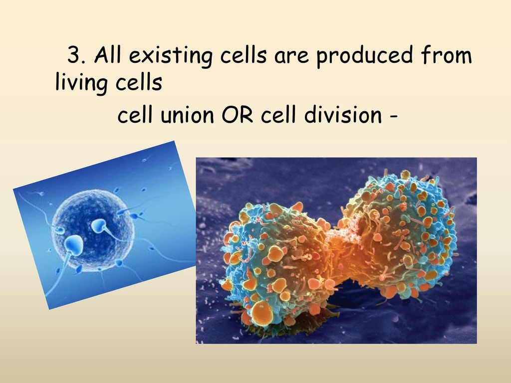 3. All existing cells are produced from living cells