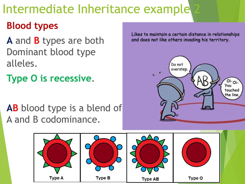 Mendel Genetics, Part 2 Co-dominance and Intermediate traits - ppt download