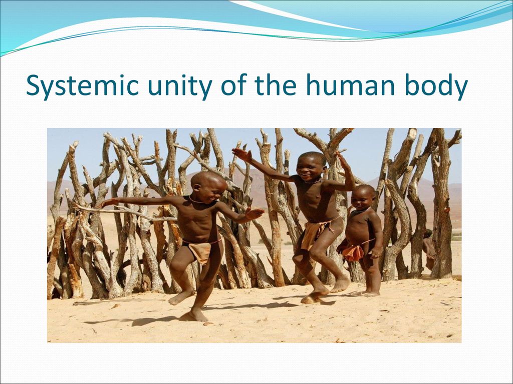 Human life Lecture ppt download Biology Diagrams