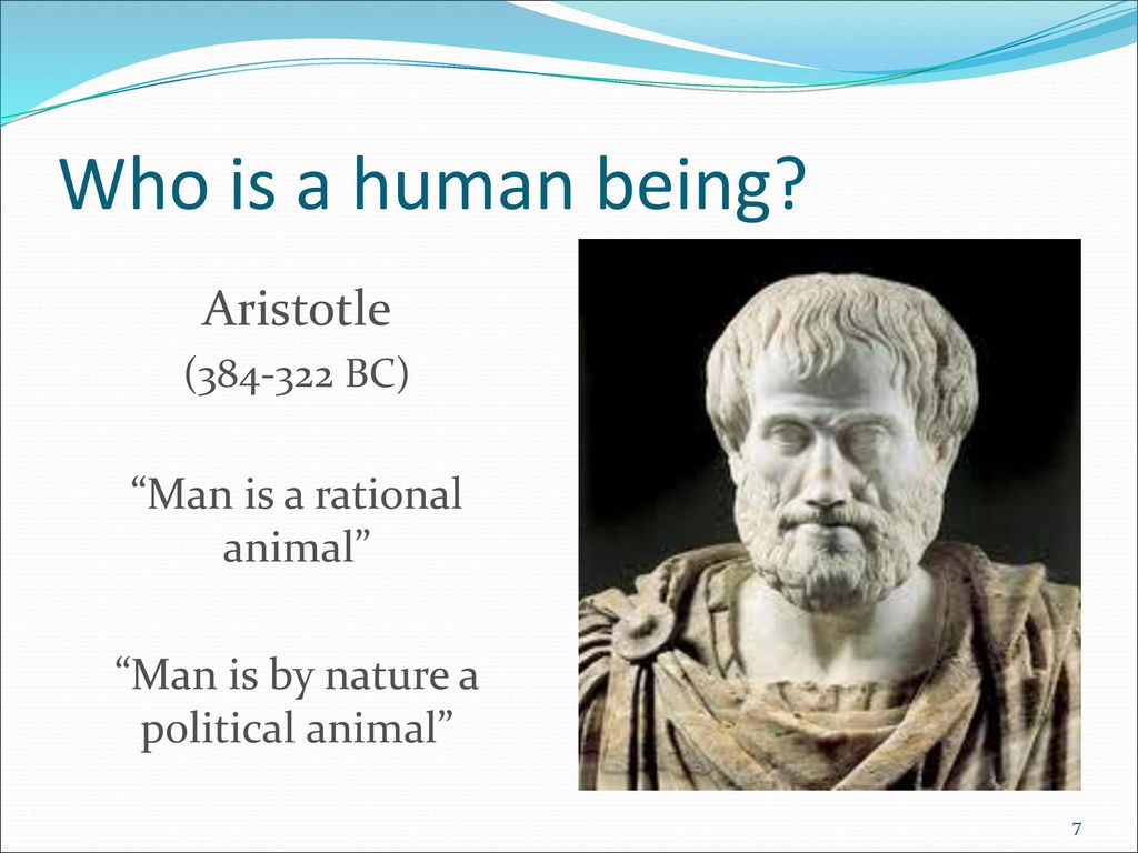 Human life Lecture ppt download