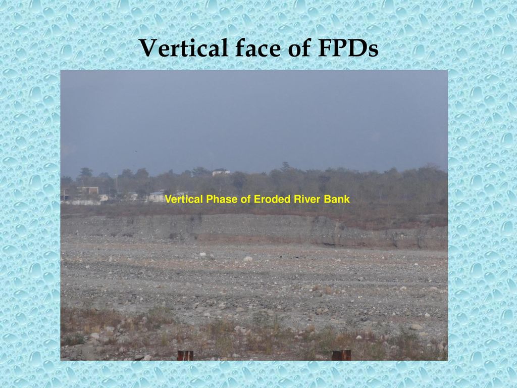 Vertical face of FPDs Vertical Phase of Eroded River Bank