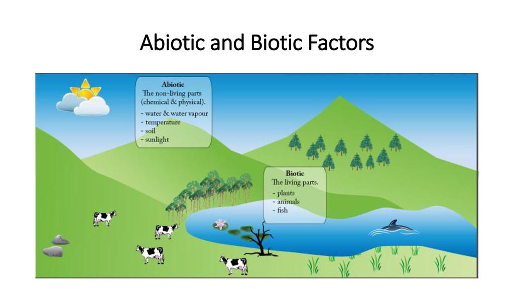 Abiotic and Biotic Factors.