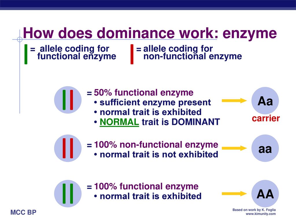 How does dominance work: enzyme