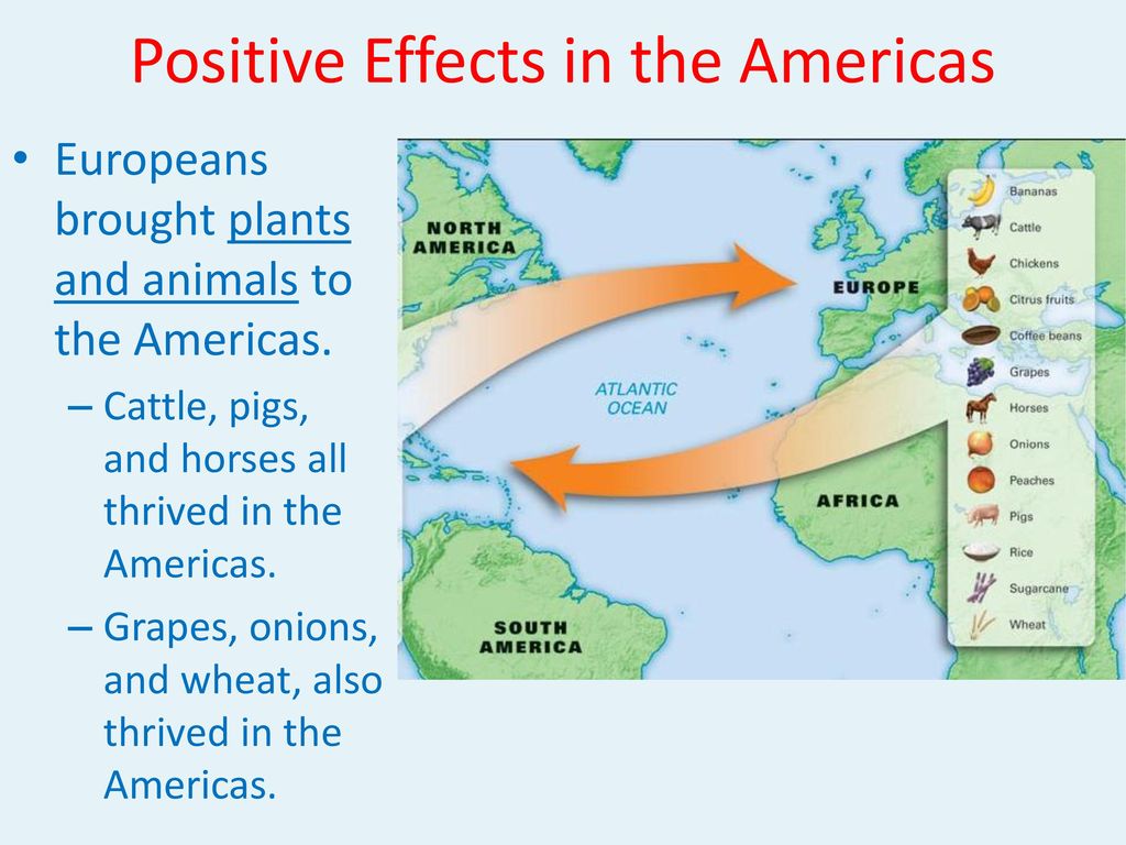 Positive Effects in the Americas