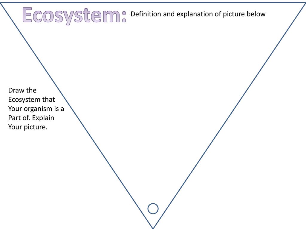 Ecosystem: Definition and explanation of picture below Draw the