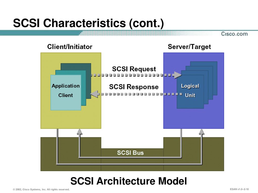 SCSI Characteristics (cont.)