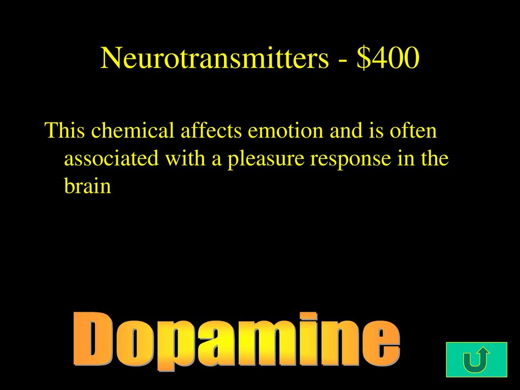 Neurotransmitters - $400 Dopamine