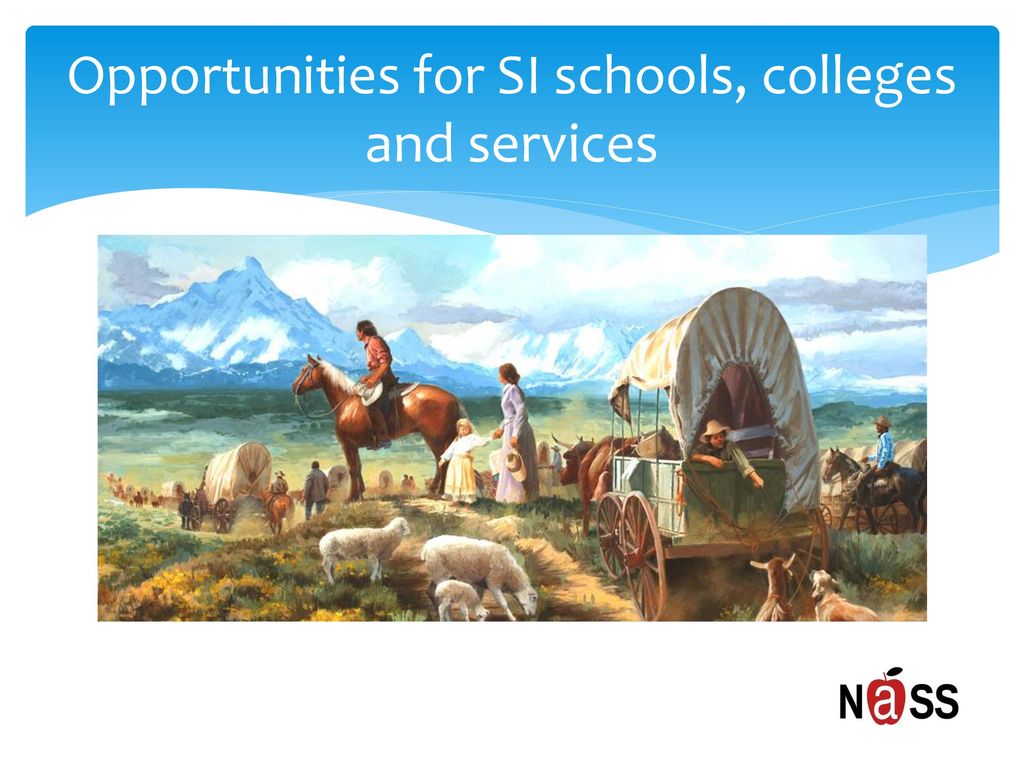 Opportunities for SI schools, colleges and services