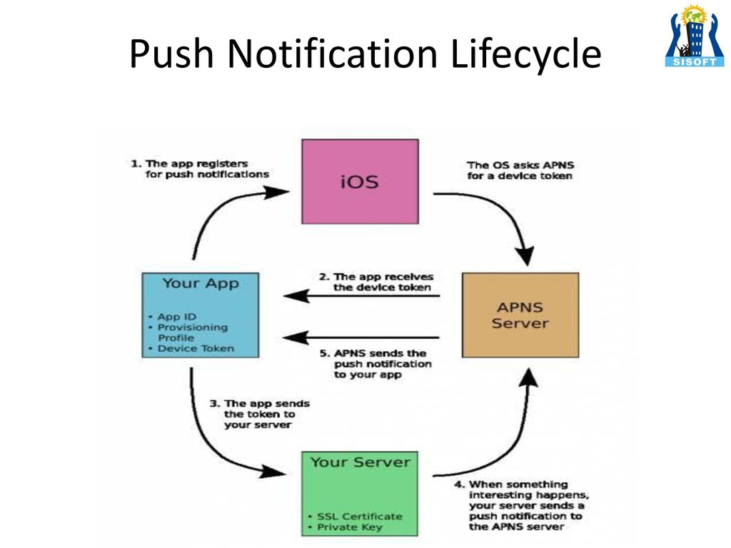 Push Notification Lifecycle