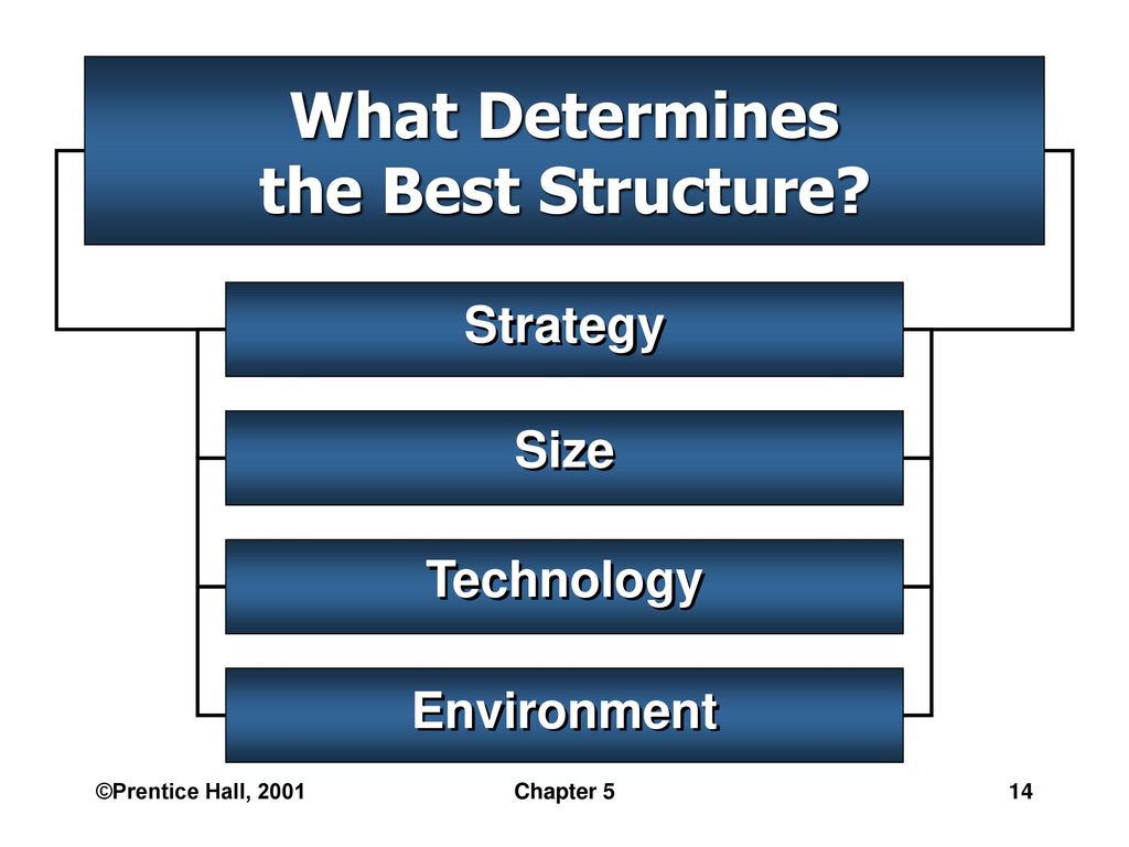Basic Organization Designs - ppt download