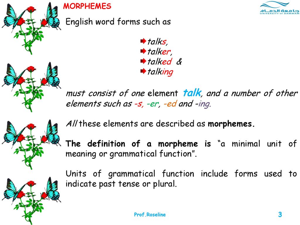 English word forms such as talks, talker, talked & talking