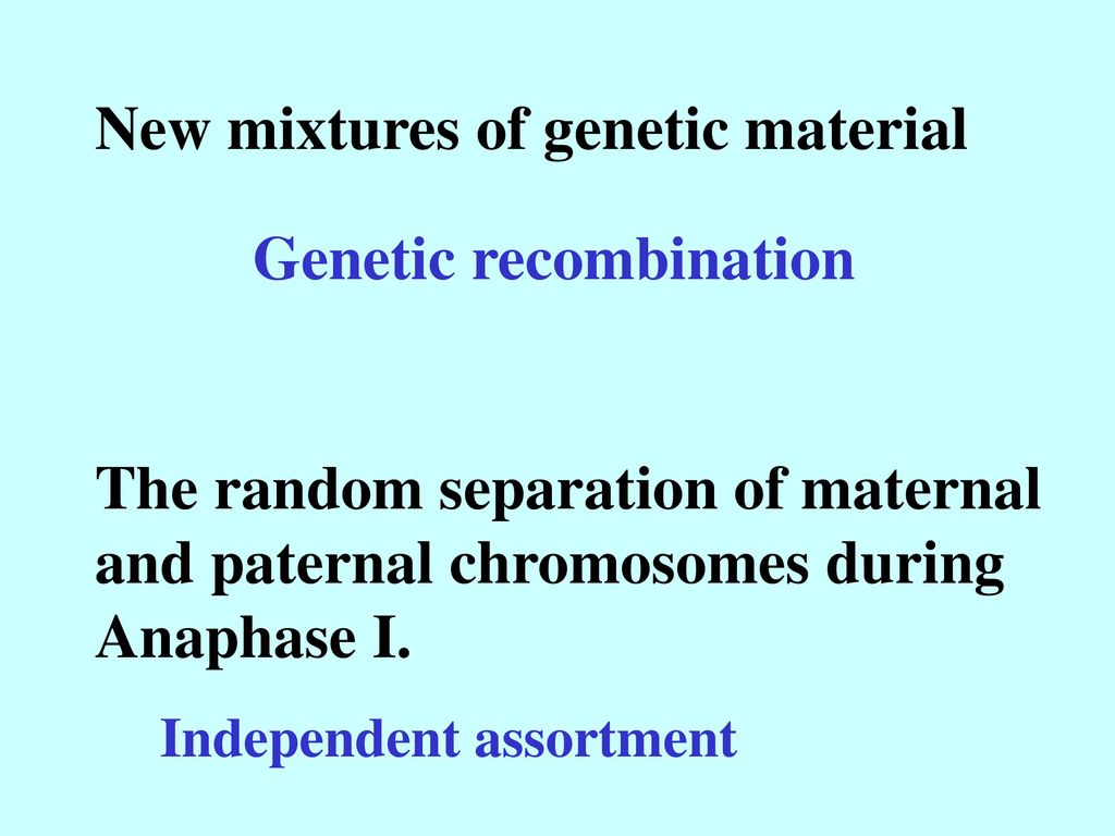 New mixtures of genetic material