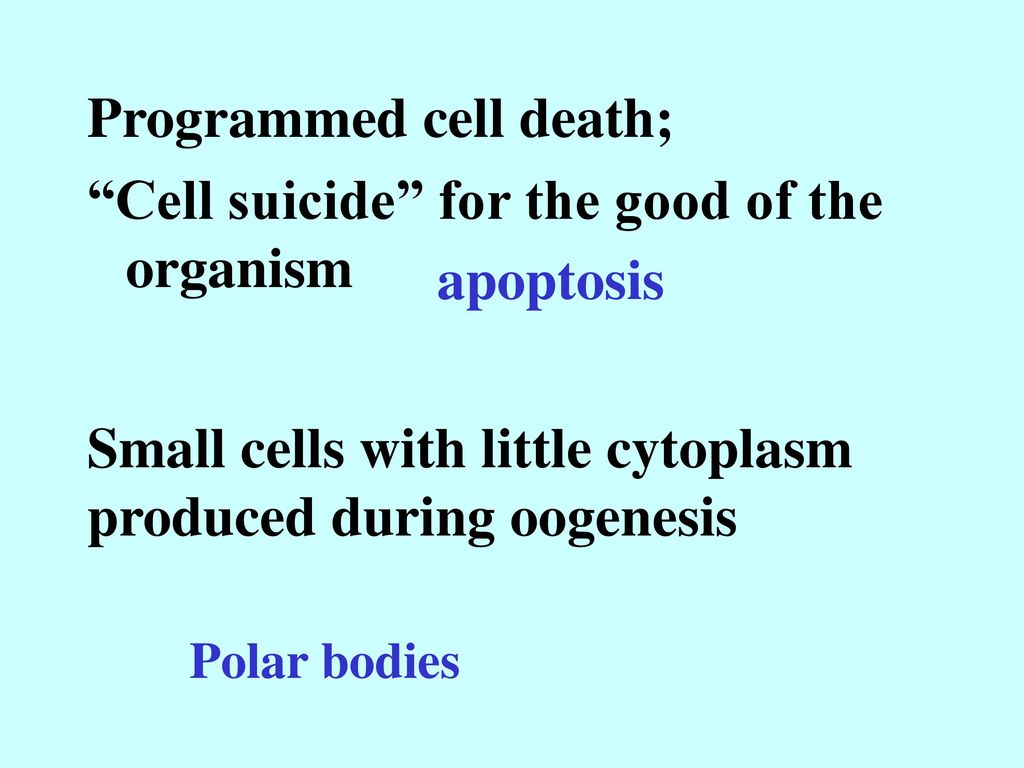 Programmed cell death; Cell suicide for the good of the organism