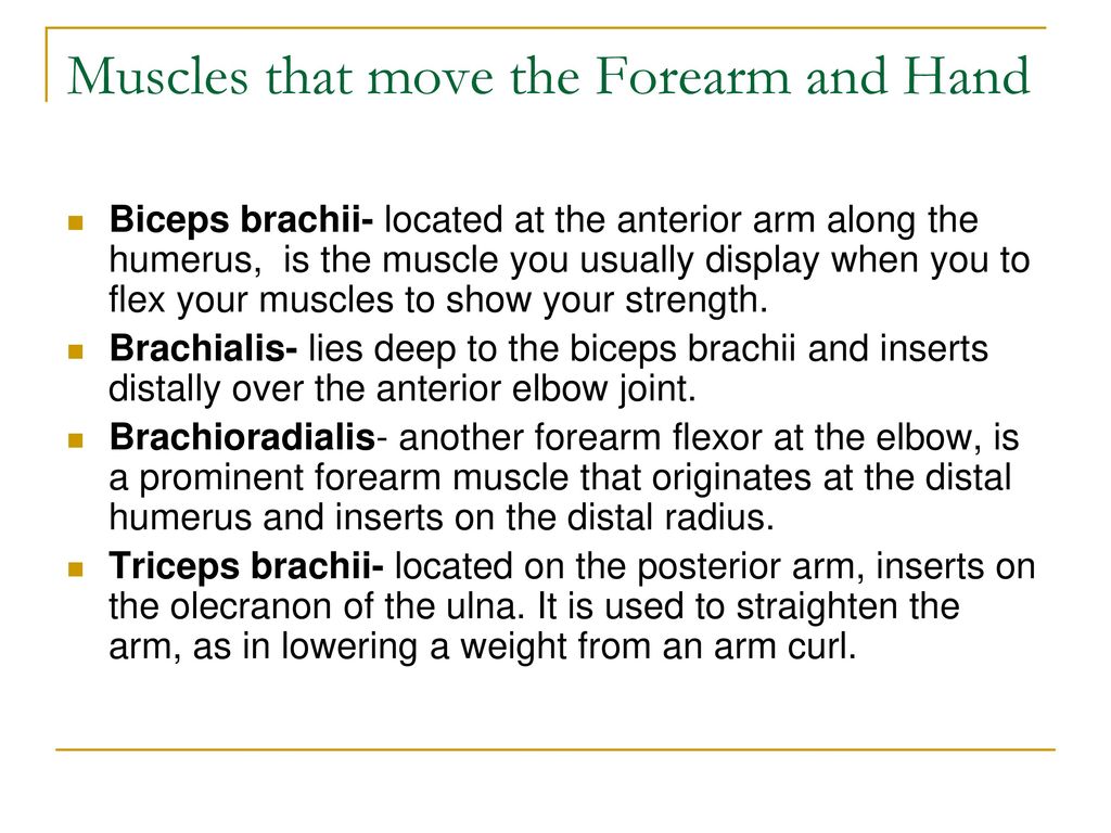 Anatomy and Physiology - ppt download