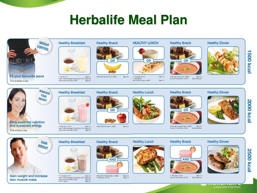 Herbalife Diet Chart For Weight Gain