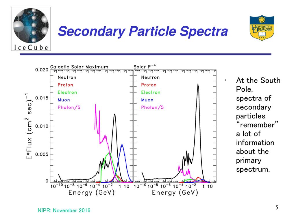 Secondary Particle Spectra