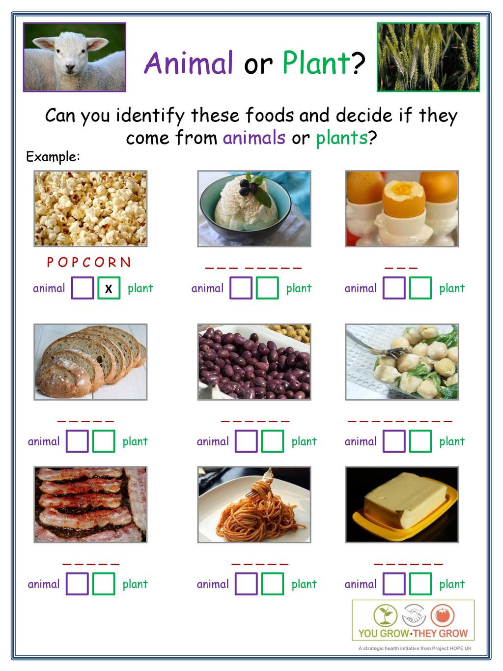 can-you-decide-if-they-come-from-animals-or-plants-ppt-download