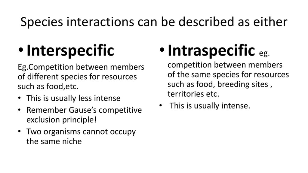 Species Interactions. - Ppt Download