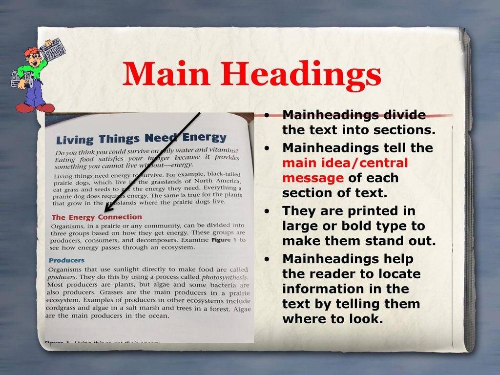 Main Headings Mainheadings divide the text into sections.