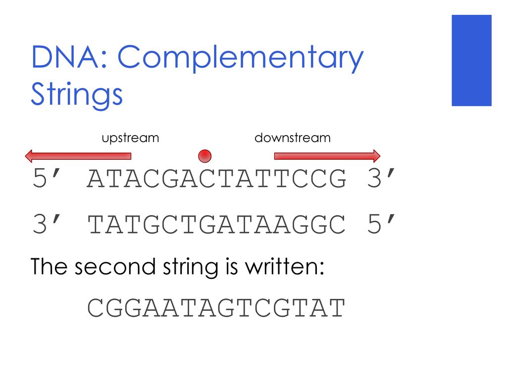 CS515: Bioinformatic Algorithms - ppt download
